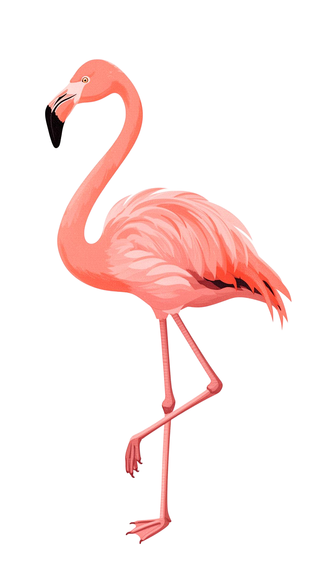 Pink flamingo — symbol of the Flamingo Revolution